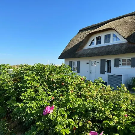 Reethaus Seekrabbe Ferienhaus Zierow